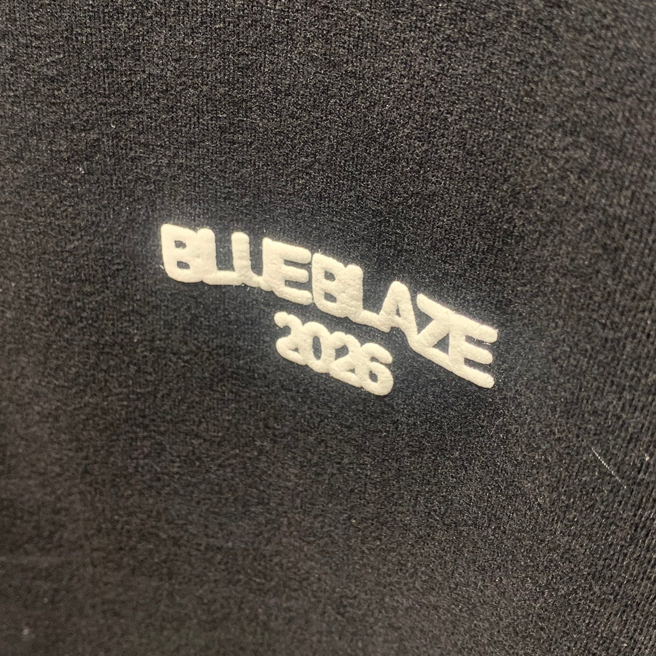 BLUE BLAZEフォトグラフィック Tシャツ SIZE L